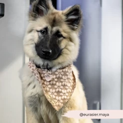 Luxe Bandana - Mocha Flower 12 Luxe Bandana - Mocha Flower -Cocopup London 101