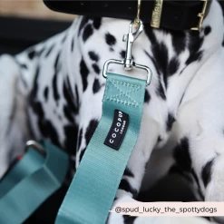 Seat Belt Restraint - Khaki -Cocopup London 106 2f034088 73fd 40c4 ad4f 63ccc253daca