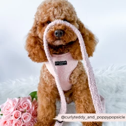 Teddy Lead - Love-a-Lot -Cocopup London 10 2e1d57b1 a9b6 4769 8d78 d7c453ef3bc3