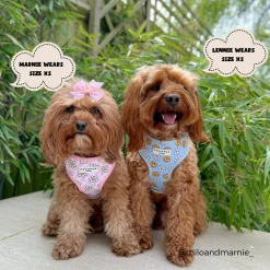 Smiley Pawty Tent Adjustable Neck Harness -Cocopup London 10 59b6268b b7b7 479e a974 e4a6d7155a69