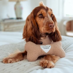 Teddy Rupert Bone Toy -Cocopup London 10 689919c4 0526 4472 bd74 a9dfe89f1e1f