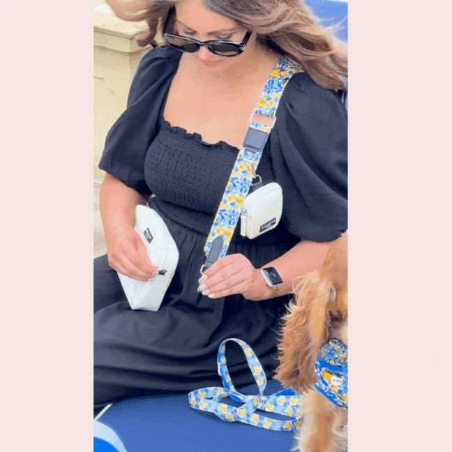 Dog Walking Bag Bundle - Amalfi Lemon 11 Dog Walking Bag Bundle - Amalfi Lemon - Image 9