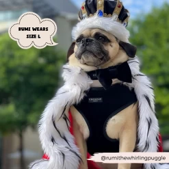 Luxe Velvet Adjustable Neck Harness - Noir -Cocopup London 10 98a17de4 3860 4e55 9799 1171066a042c