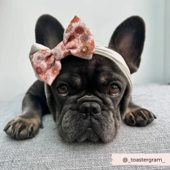 Groovy Florals Bow Tie -Cocopup London 10 a7ca61ae 6d53 4d61 8dbd bfdf6cc31ae1