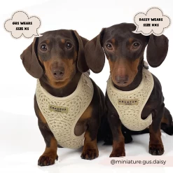 Festival Crochet Adjustable Neck Harness, Lead & Collar Bundle -Cocopup London 10 c236f7f3 365e 4295 9480 7b04fd89f2d0