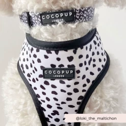 Monochrome Spots Adjustable Neck Harness, Lead & Collar Bundle -Cocopup London 10 f14b0983 6f2b 4a10 92c5 5b467cd9efe9