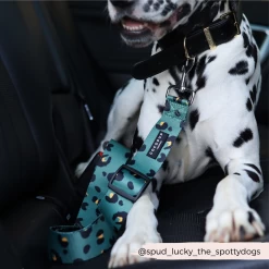 Seat Belt Restraint - Khaki Leopard -Cocopup London 110 7d99f682 cd1a 4964 a504 28a83f796eff