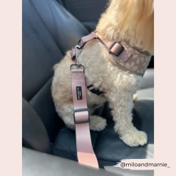 Seat Belt Restraint - Plain Nude -Cocopup London 116