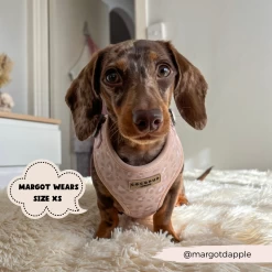 Nude Chic Leopard Adjustable Neck Harness -Cocopup London 117