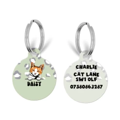 Personalised Cat Cartoon ID Tag - Sage Leopard