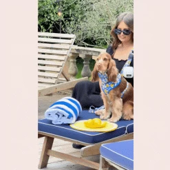 Dog Walking Bag Bundle - Amalfi Lemon 24 Dog Walking Bag Bundle - Amalfi Lemon -Cocopup London 11 5c0d7645 1457 4e5c 991f 465480b32e74
