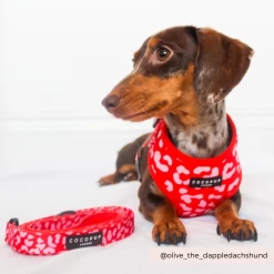 Red & Pink Leopard Adjustable Neck Harness, Lead & Collar Bundle 26 Red & Pink Leopard Adjustable Neck Harness, Lead & Collar Bundle -Cocopup London 11 5e997d0a b50f 4c4a bcf8 deeb9bd3132e