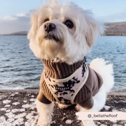 Ivory Tort Adjustable Neck Harness -Cocopup London 11 a8b4209d ab77 4b77 9297 01050b183bf3