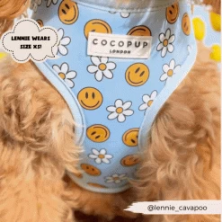 Smiley Pawty Tent Adjustable Neck Harness -Cocopup London 12