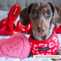 Red & Pink Leopard Adjustable Neck Harness -Cocopup London 12 0f894283 31de 4859 9868 b264d185825c