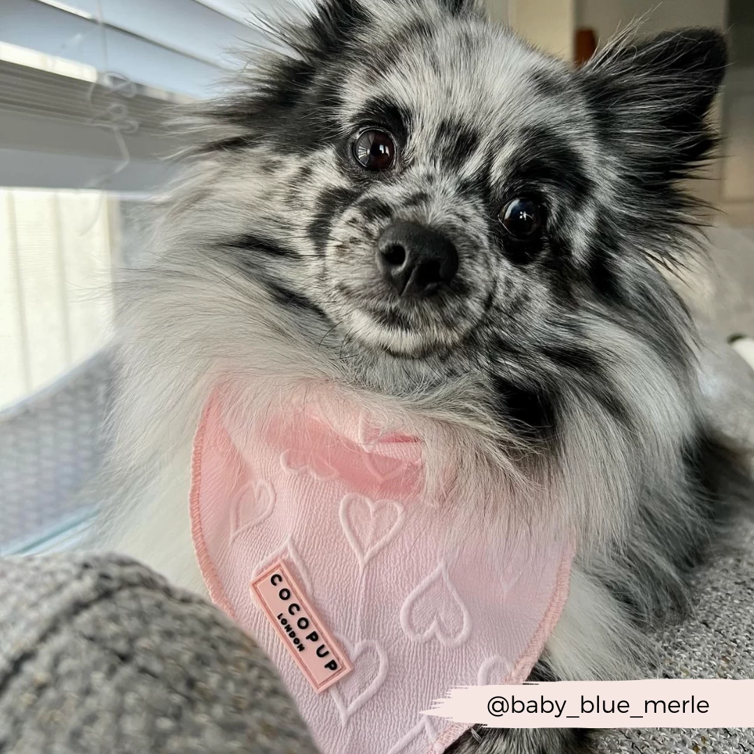 Luxe Bandana - Baby Pink Heart 7 Luxe Bandana - Baby Pink Heart - Image 5