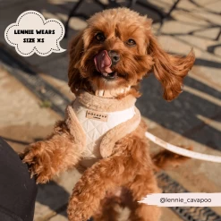 Quilted Adjustable Neck Harness, Lead & Collar Bundle -Cocopup London 12 6bcb7b19 4c5e 4cfe 8e3b 9057e010cc49