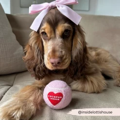 Tennis Ball - Pink & Red Heart 17 Tennis Ball - Pink & Red Heart -Cocopup London 13 3eff7c8b 320f 4ae8 bb26 0eec8b84ce87