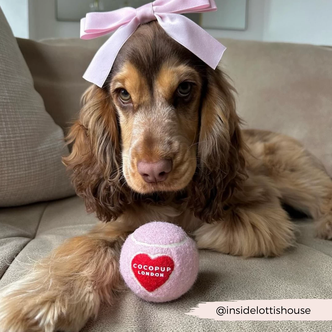 Tennis Ball - Pink & Red Heart 10 Tennis Ball - Pink & Red Heart - Image 8