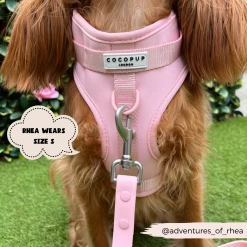 NAKD Adjustable Neck Harness, Lead, Collar & Poop Bag Holder Bundle - Candyfloss -Cocopup London 13 a274c2c9 9ac5 49d7 98e7 cbb26e51b771