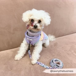 NAKD Adjustable Neck Harness - Parma Violets -Cocopup London 14 661c951d 8bcb 4715 a31c 357ff9638a7f