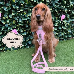 NAKD Adjustable Neck Harness - Candyfloss -Cocopup London 14 f8956d35 5e69 41b5 a727 fc50050425c0