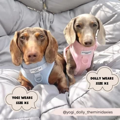 NAKD Adjustable Neck Harness - Candyfloss -Cocopup London 15 08ebb0fd bad9 4850 8497 2a74f90bd06d