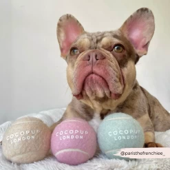 Tennis Ball - Pistachio -Cocopup London 15 1e7d08ca 6c12 4558 b3ae ae8427ac84d0