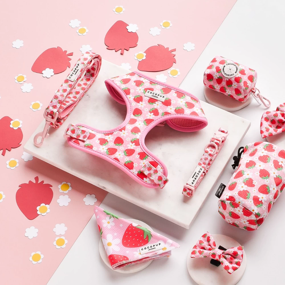 Pupberry Fields Adjustable Neck Harness, Lead & Collar Bundle 5 Pupberry Fields Adjustable Neck Harness, Lead & Collar Bundle - Image 3