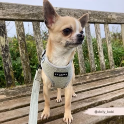 Sage Tweed Adjustable Neck Harness, Lead & Collar Bundle -Cocopup London 16 11046730 ac1d 4806 b311 720e75302918