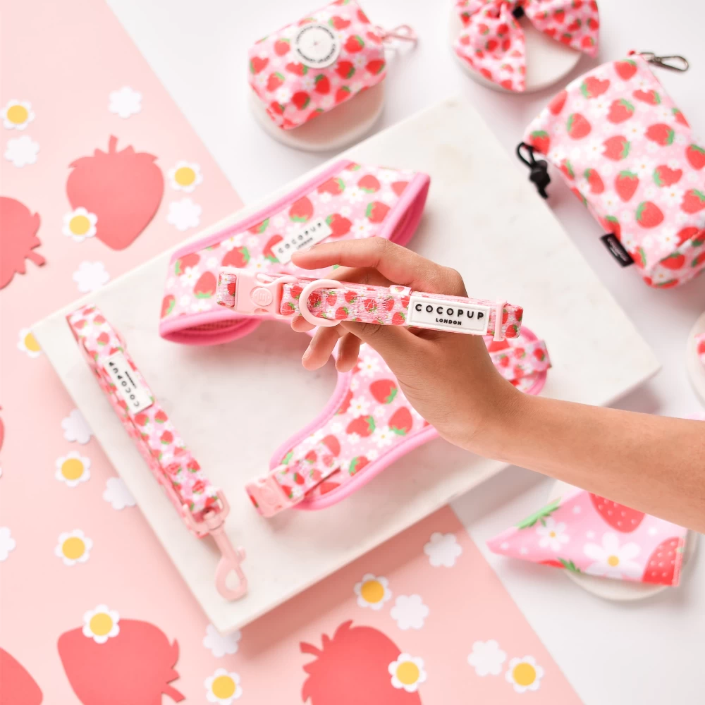 Pupberry Fields Adjustable Neck Harness, Lead & Collar Bundle 6 Pupberry Fields Adjustable Neck Harness, Lead & Collar Bundle - Image 4