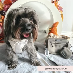 Dog Walking Bag Bundle - Sage Leopard 17 Dog Walking Bag Bundle - Sage Leopard -Cocopup London 16 3e046536 b5d0 476f b7a2 4da53e841ebf