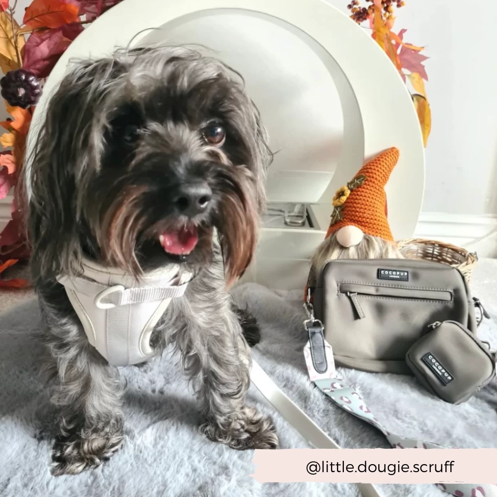 Dog Walking Bag Bundle - Sage Leopard 10 Dog Walking Bag Bundle - Sage Leopard - Image 8