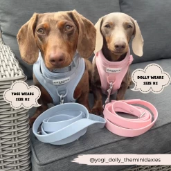 NAKD Adjustable Neck Harness, Lead, Collar And Poop Bag Holder Bundle - Bubblegum -Cocopup London 16 70b26678 0f08 42d1 8e56 608dab6beb18