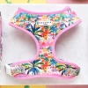 Portofino Pup Adjustable Neck Harness 1 Portofino Pup Adjustable Neck Harness -Cocopup London 16 89cb10cf 757c 49e2 8db9 bee92a5813dd