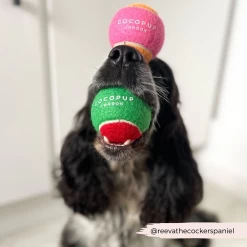 Tennis Ball - Red & Green -Cocopup London 16 f2943612 3764 43c6 ac68 6b8dfc8084b9