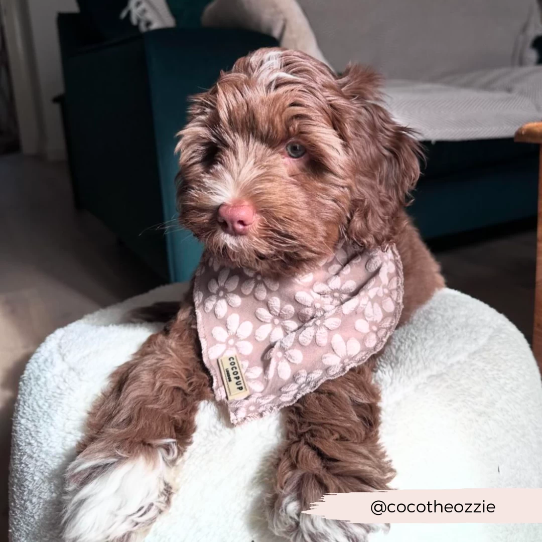 Festival Crochet Adjustable Neck Harness 9 Festival Crochet Adjustable Neck Harness - Image 7