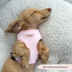 Luxe Baby Pink Heart Adjustable Neck Harness, Lead & Collar Bundle -Cocopup London 175 e49ef3da ff6f 4f73 9855 e2f7d36dd6ae