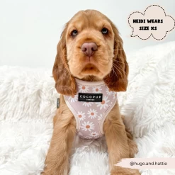 Daisy Chain Adjustable Neck Harness -Cocopup London 177 69882312 440e 4fd0 ac70 43b2897912b2