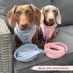 NAKD Lead - Bubblegum -Cocopup London 17 40c5ec38 a026 4eb2 8432 4efe8a94d4fa