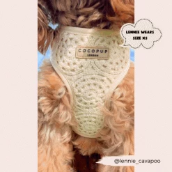 Festival Crochet Adjustable Neck Harness, Lead & Collar Bundle -Cocopup London 17 507b5d8b b831 4104 8af8 1281294685ad