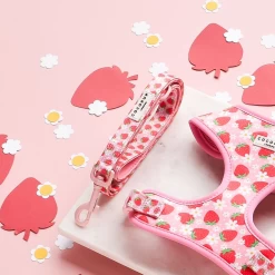 Pupberry Fields Adjustable Neck Harness, Lead & Collar Bundle 26 Pupberry Fields Adjustable Neck Harness, Lead & Collar Bundle -Cocopup London 17 a1f0c5c1 af70 4d24 bc92 899bf85802d4