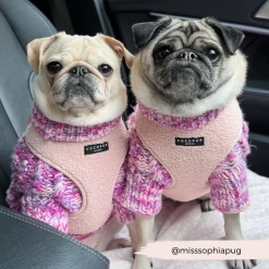 Teddy Adjustable Neck Harness - Love-a-Lot 41 Teddy Adjustable Neck Harness - Love-a-Lot -Cocopup London 187