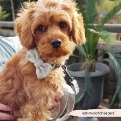 Brown Tweed Bow Tie 22 Brown Tweed Bow Tie -Cocopup London 18 0aaa535a 628a 4710 8f7d 97bbe307a75e