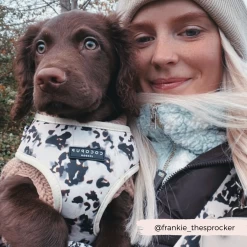 Ivory Tort Adjustable Neck Harness -Cocopup London 18 eaac12f8 9427 4cc1 b854 0ab1c36dd186