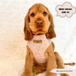 Nude Chic Leopard Adjustable Neck Harness, Lead & Collar Bundle -Cocopup London 191