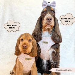 Nude Chic Leopard Adjustable Neck Harness, Lead & Collar Bundle -Cocopup London 193