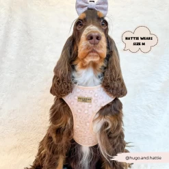 Nude Chic Leopard Adjustable Neck Harness, Lead & Collar Bundle -Cocopup London 194