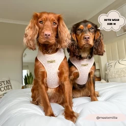 Nude Chic Leopard Adjustable Neck Harness -Cocopup London 197 b890f1ee 602d 4941 a3d0 cb0ee6983c6d