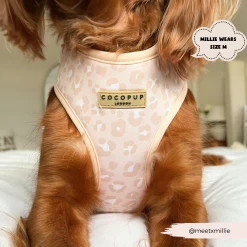 Nude Chic Leopard Adjustable Neck Harness, Lead & Collar Bundle -Cocopup London 198 81876212 514c 4447 b8d0 ede1eafc43d8